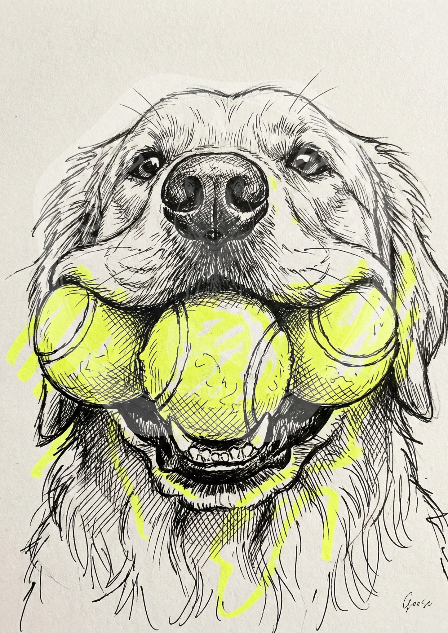 Plakat do druku- "Potrójny Aport" – Golden Retriever