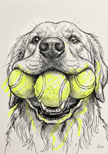 Plakat do druku- "Potrójny Aport" – Golden Retriever